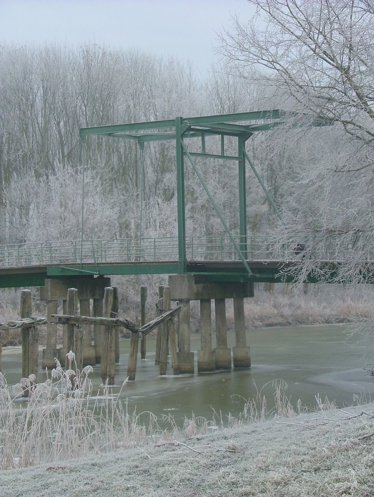 Brug over boomgat by proost