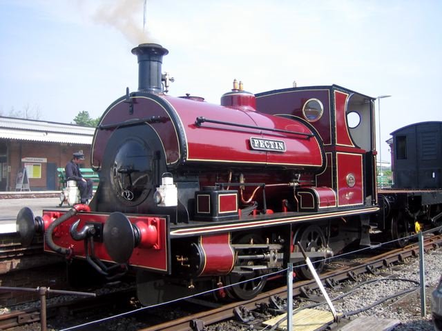 Pectin at Yeovil Junction by Michael Isaacs