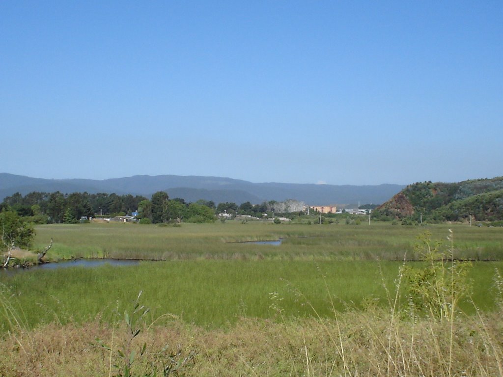 Valle Estero Maule by Calcavel