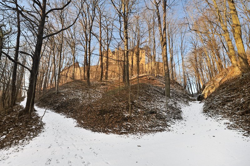 Rundwanderweg mit Blick zur Burg im Winter by swantewit