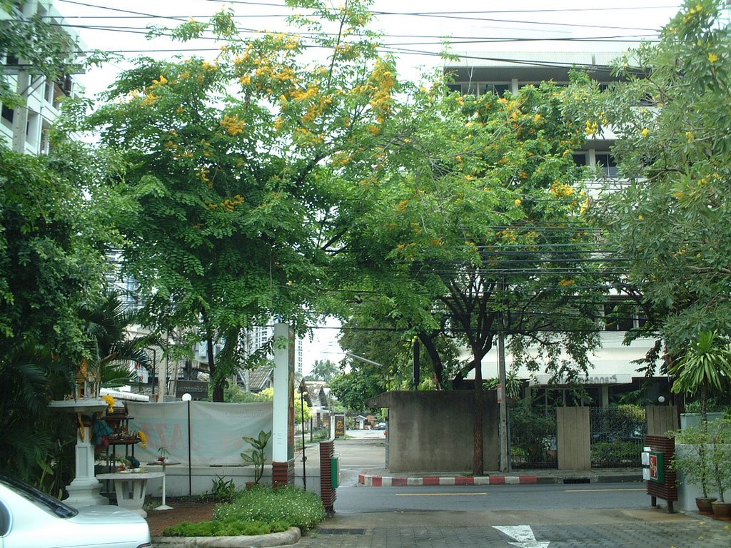 View Sukhumvit Soi 26 from S&P parking lot / ﾚｽﾄﾗﾝS&Pの駐車場から望むｽｸﾑｳﾞｨﾄ･ｿｲ26 by namsaijaijing