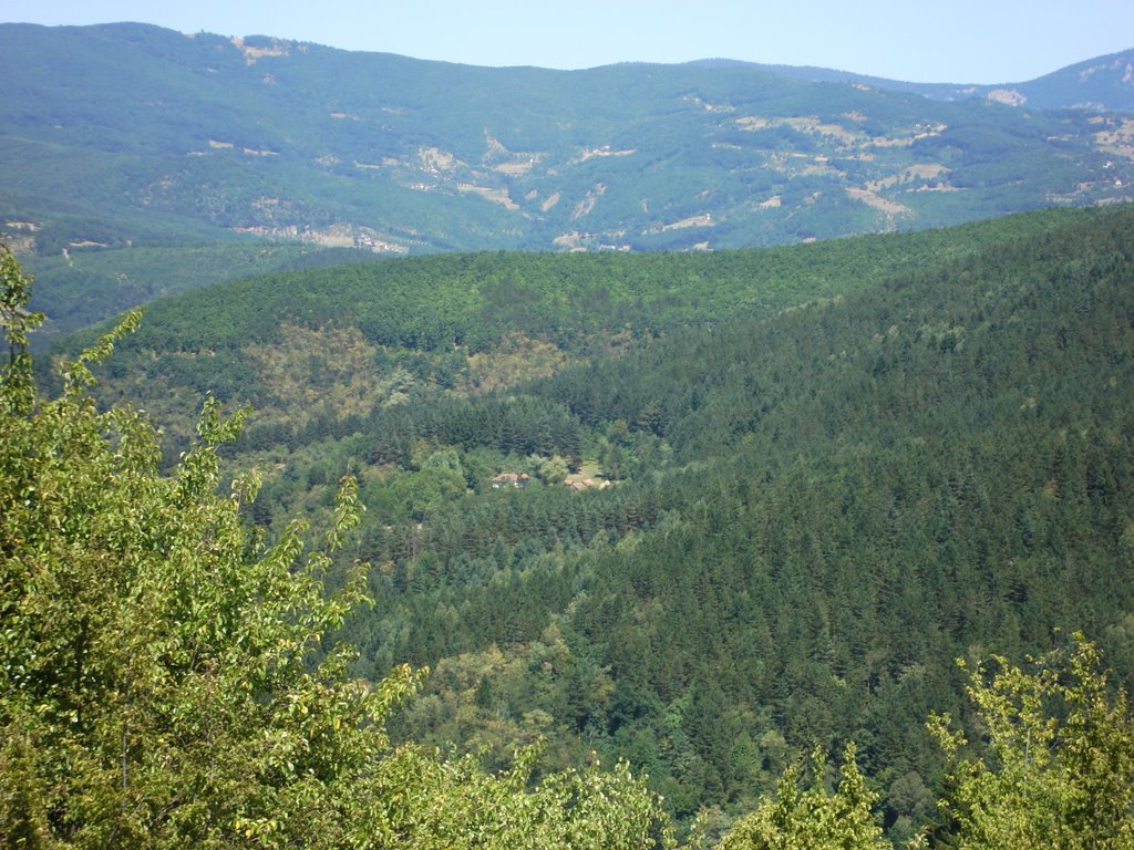 Prijepolje,Ravni,Serbia-nature...Наша кућа...и остало... by новосивачки