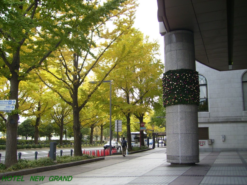 Yokohama HOTEL NEW GRAND by bellsky