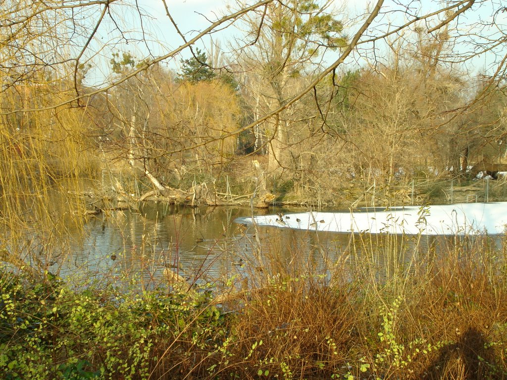 Wien - Floridsdorf im Wasserpark by gerrry1