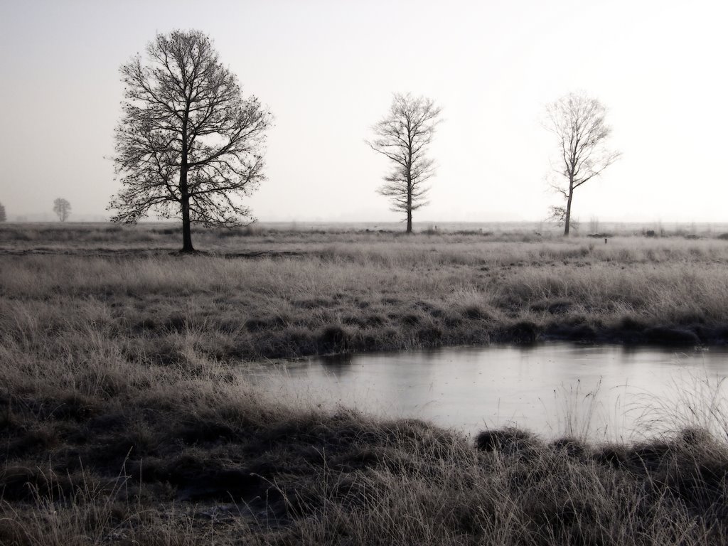 Gehlenbecker Moor, Sylvester 2008 by Ralf Jankowski