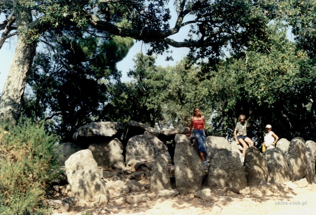 Romanya de la Selva Dolmen by akita-club.pl