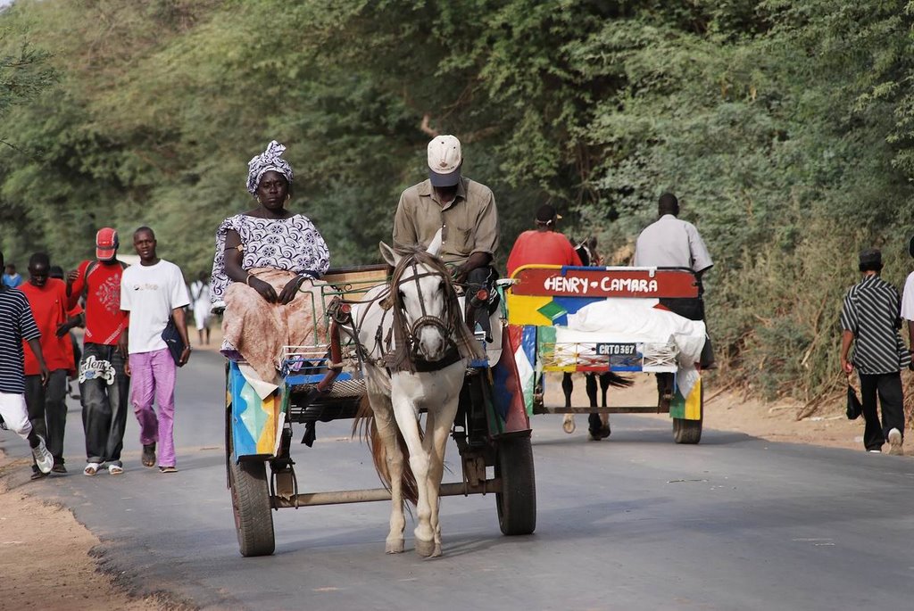 Caleche sur la grande route .fg by Giraudon Francis