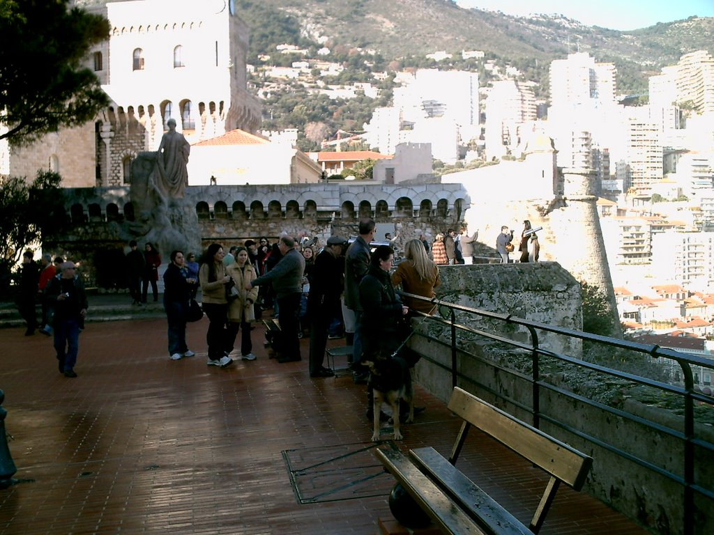 place du palais de monaco janvier 2009 by NAVION ROBERT