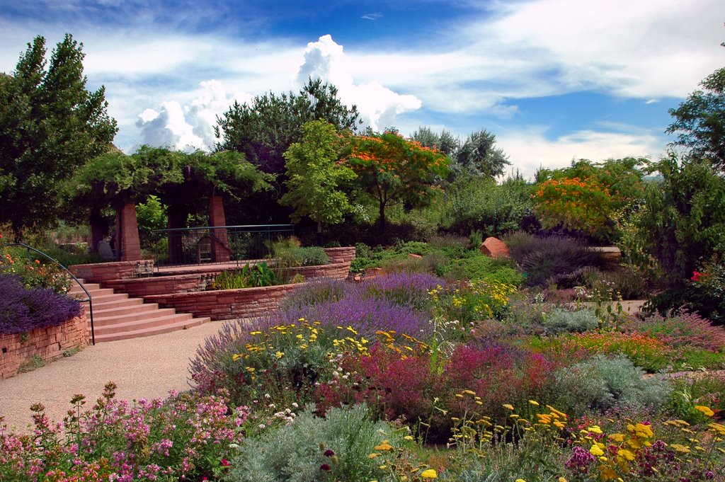 Red Butte Garden by Cory Maylett