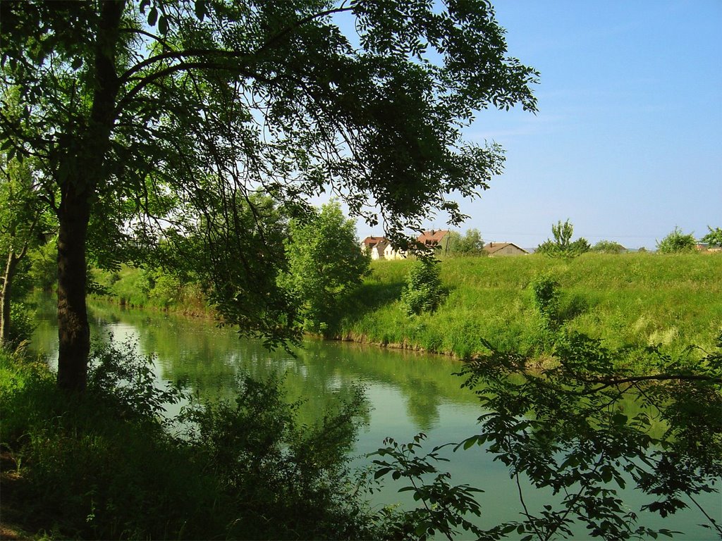 Tree river town - [Picture of the day - 04 jan 2009] by http://www.meispix.com (Philippe Meisburger)