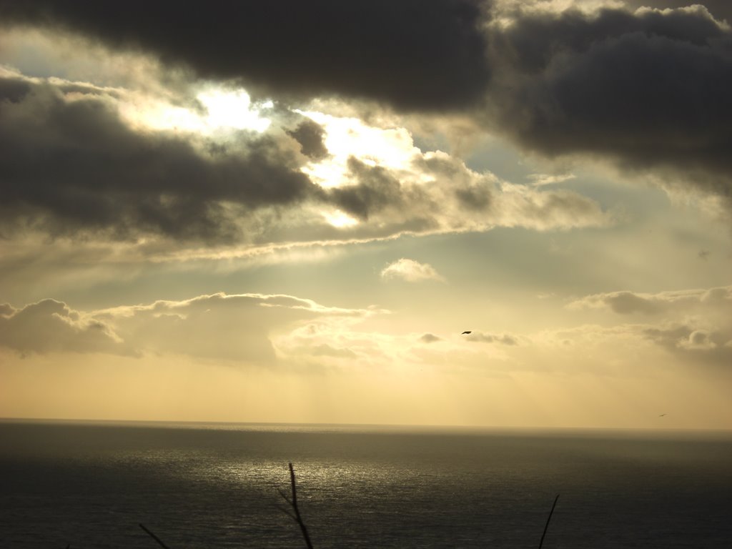 Portland sea view by Ollie Downing