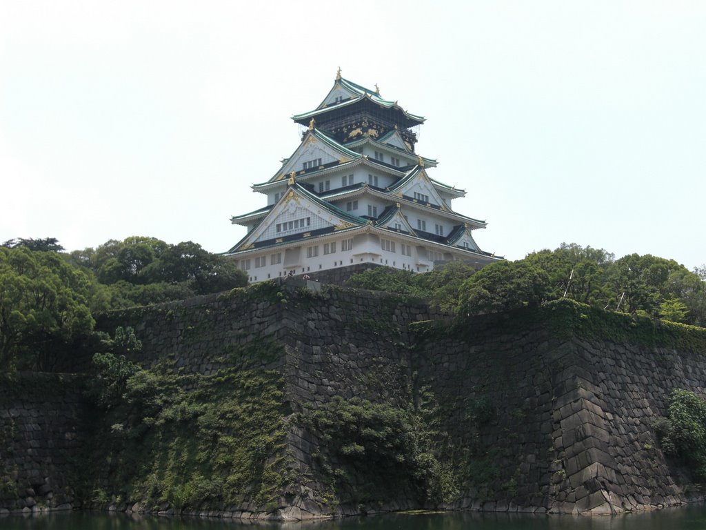 Osaka Castle by cross2road