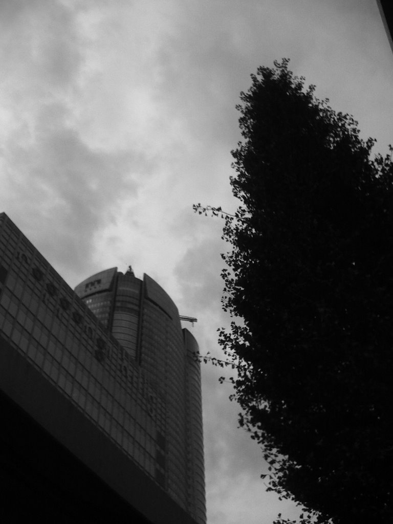 Sight of Roppongi Hills by nomeazasir