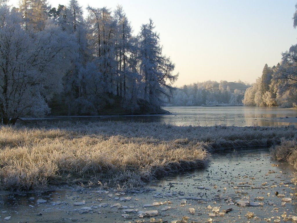 Tarn Hows Frozen by Elliot  Lewis