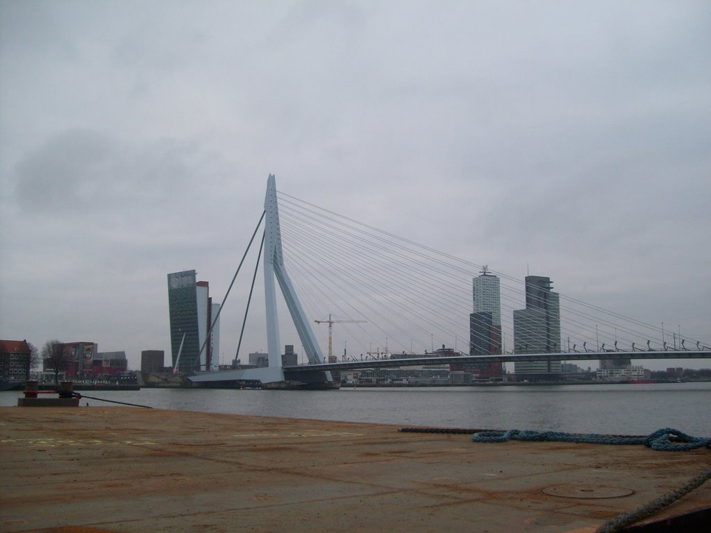 Erasmusbrug Rotterdam by ® Osama Mohamed Rott…