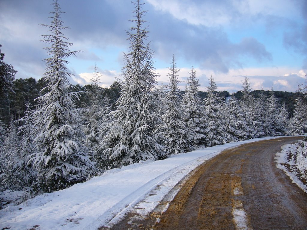 Nieve en el puerto de valderrepisas by corchito