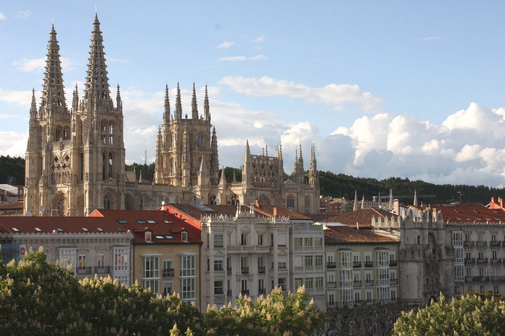 SPAGNA - BURGOS - PANORAMA by Franco Ramellini