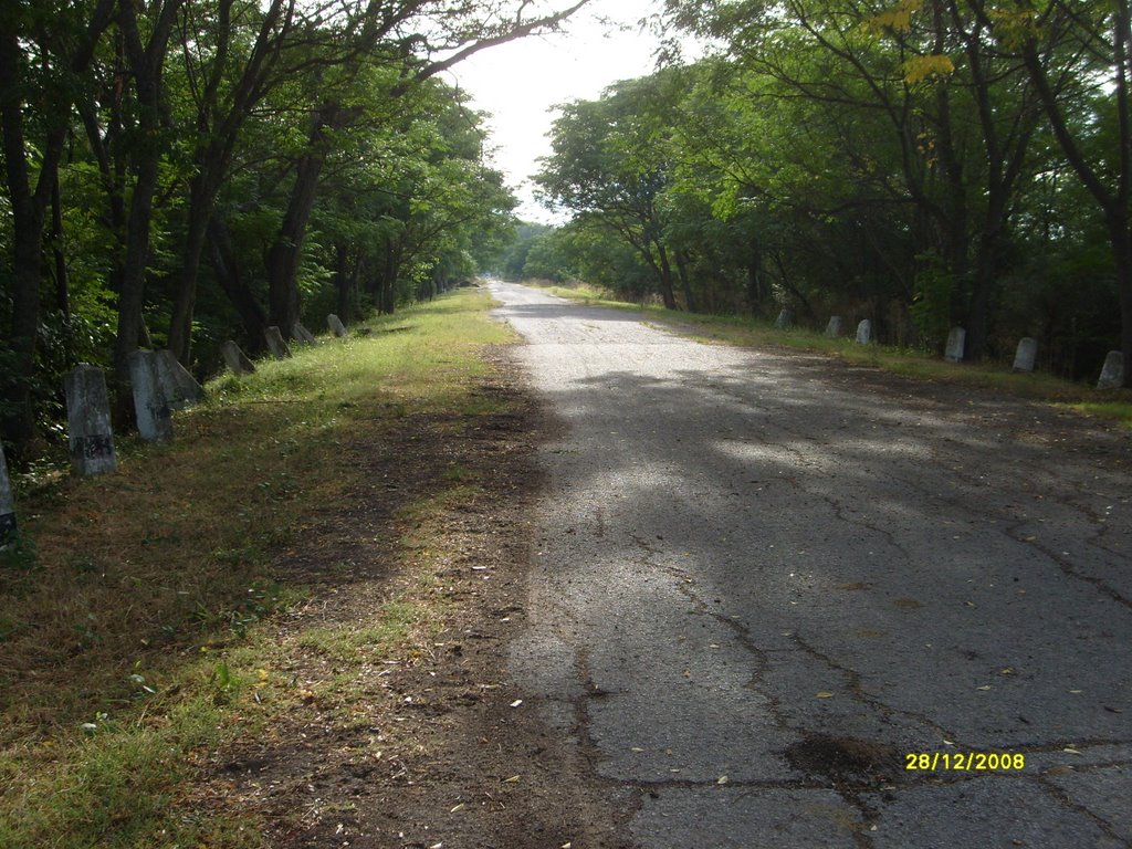 Paseo de los Puentes by Miguel Oscar