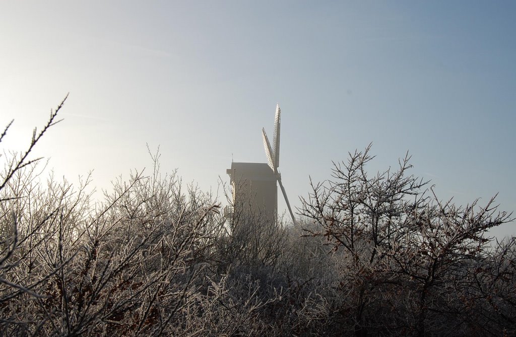 Der Mühle im nebel - The Mill in mist by Lecleire Jacques