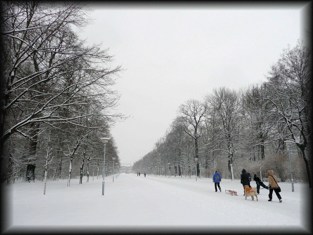 Wintereinbruch im Großen Garten Dresden by ManMi