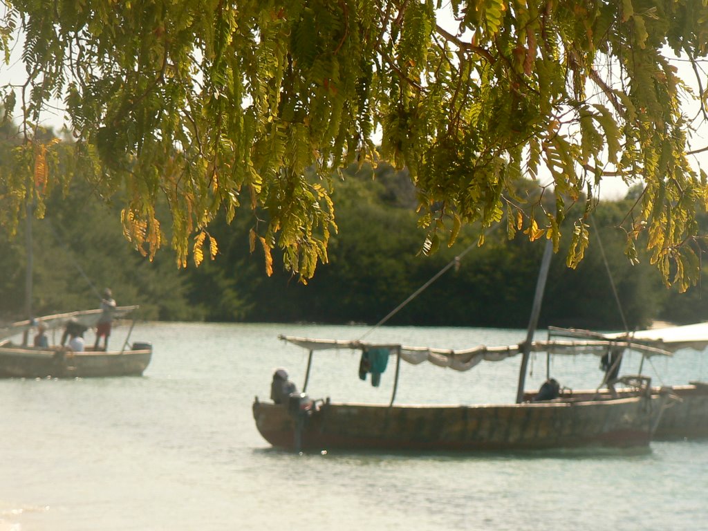 Spice Island of Zanzibar by joyandtony