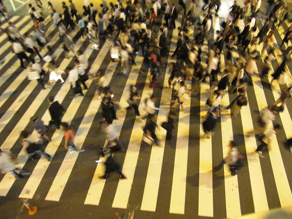 Zebra crossing by cross2road