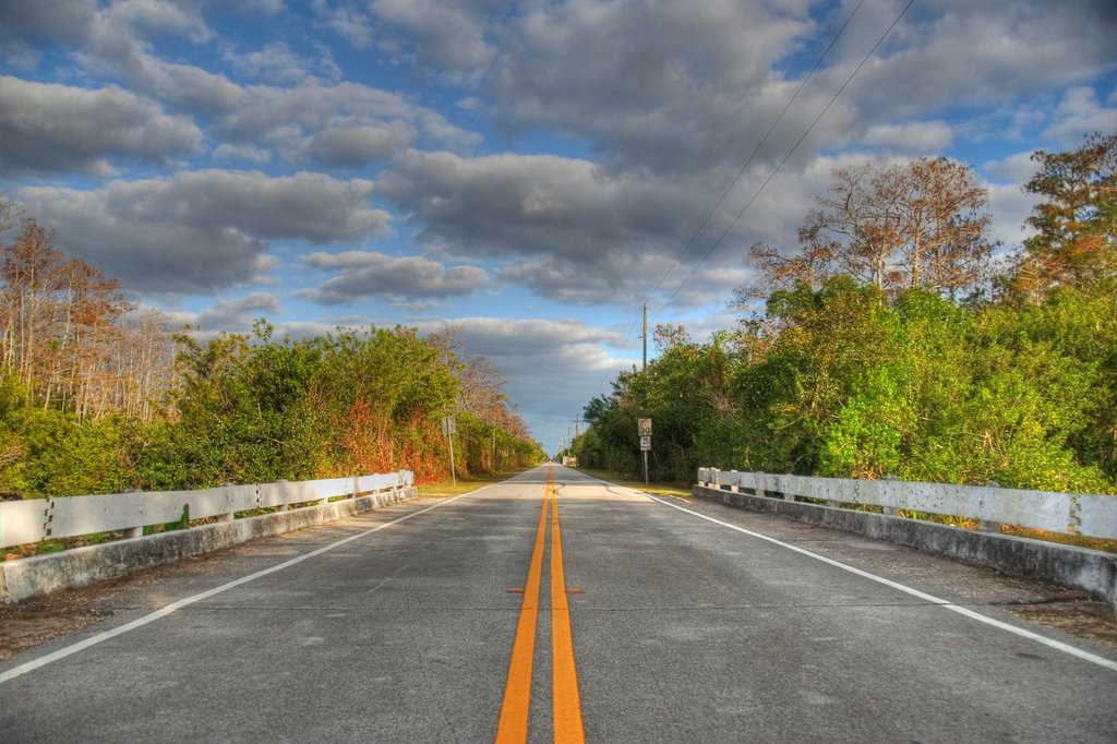 After the Loop 2 - Florida by Monika & Albert Bardewyck