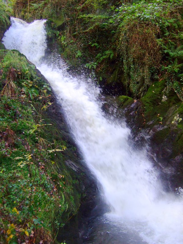 Dolgoch Falls by Keith Halstead