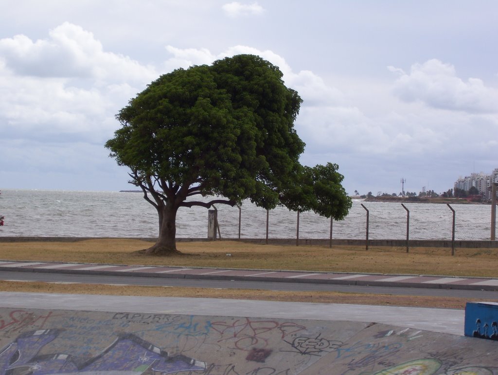 Viento costero en Pocitos by femazz