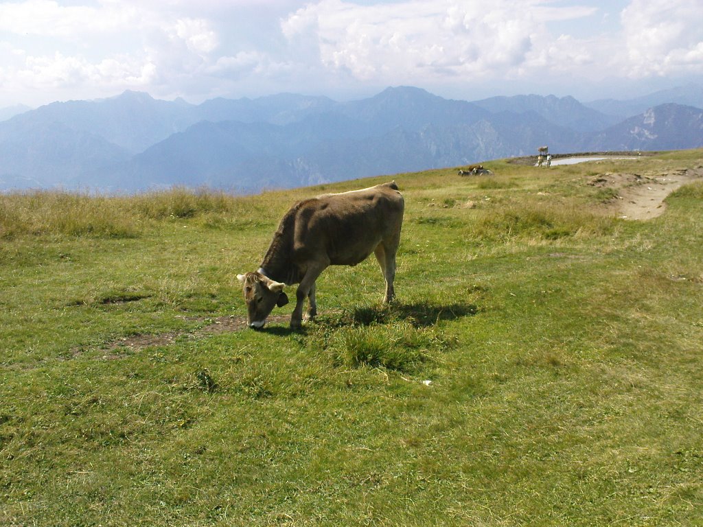 Monte Baldo by Meloun