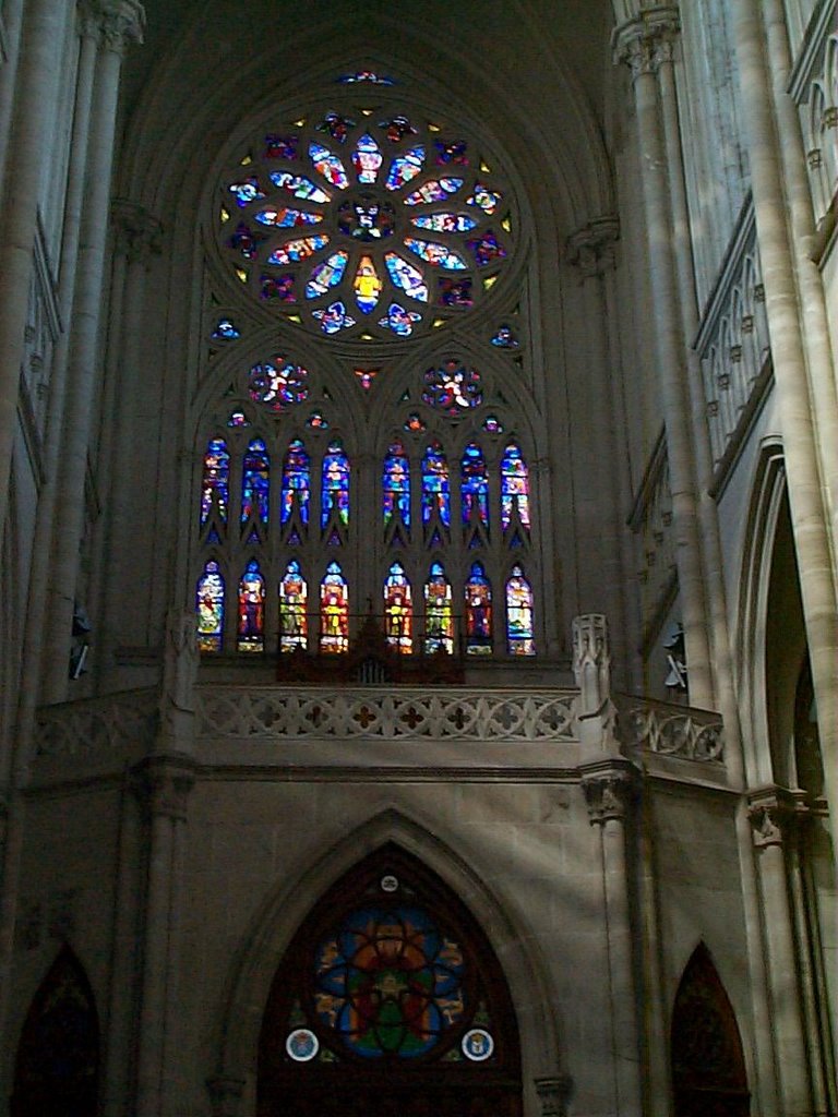 Vitreaux Catedral La Plata, Provincia de Buenos Aires, Argentina by Horacio Arevalo