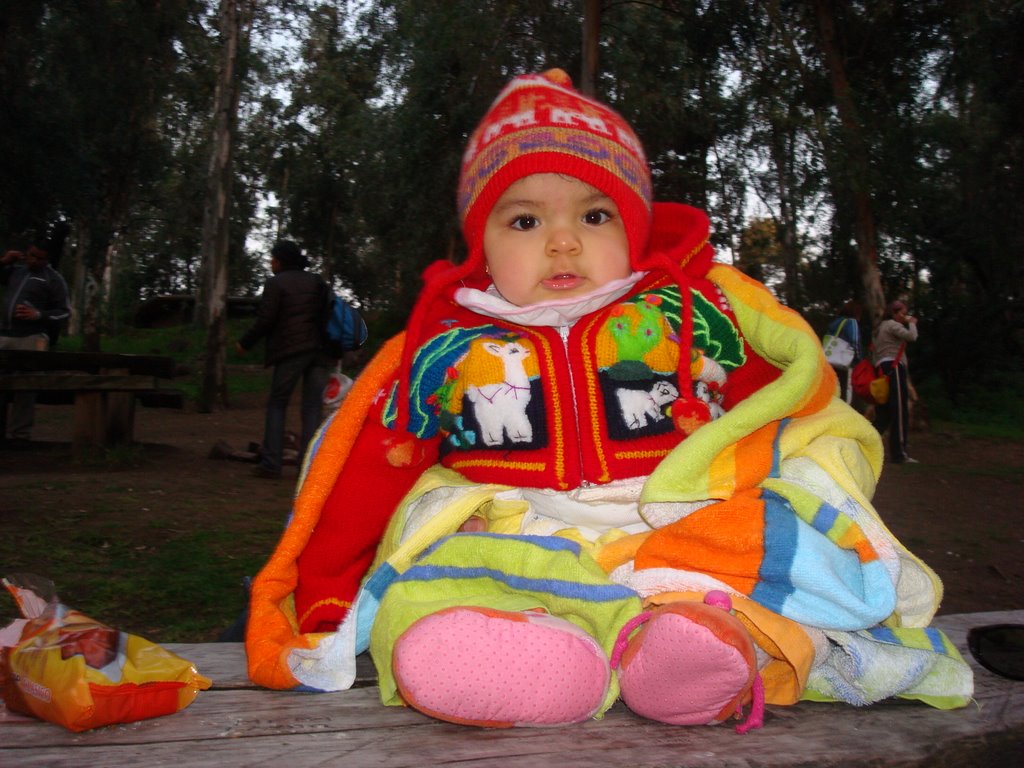 Cerro San Crristobal - Zona de Picnic by alephito