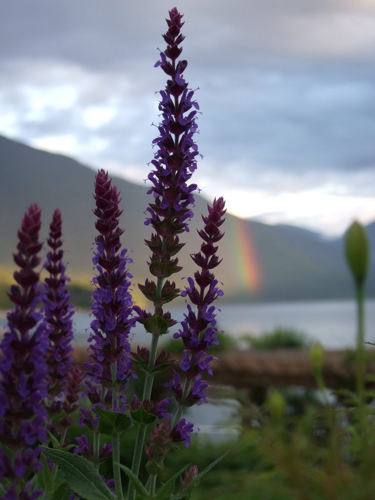 Nakusp Rainbow by lxbatty