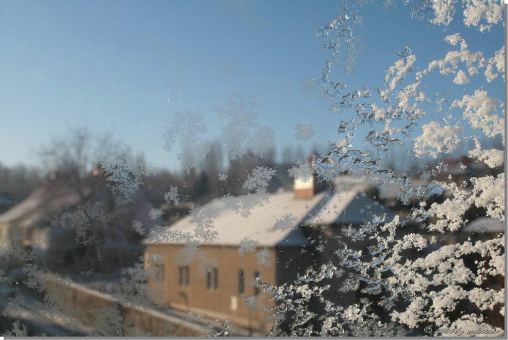 Schnee hinter Glas by Wolfram Dittner