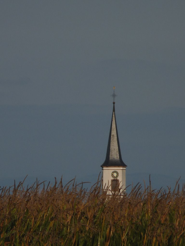 Vue sur l'église de limersheim by blanc.erv