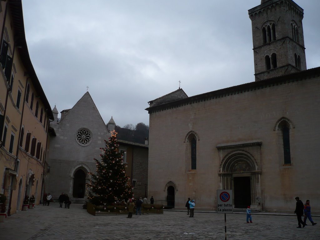 Albero di visso by violone27