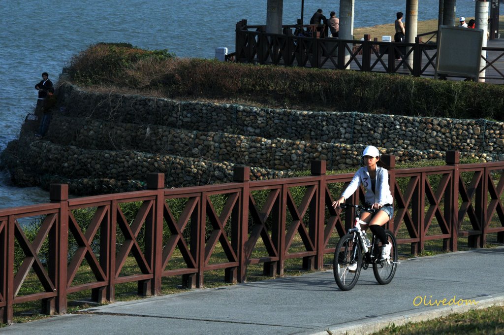 Bikeway at Bali 左岸自行車道 by olivedom