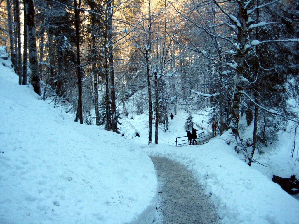 Zur Breitachklamm by alfonso II