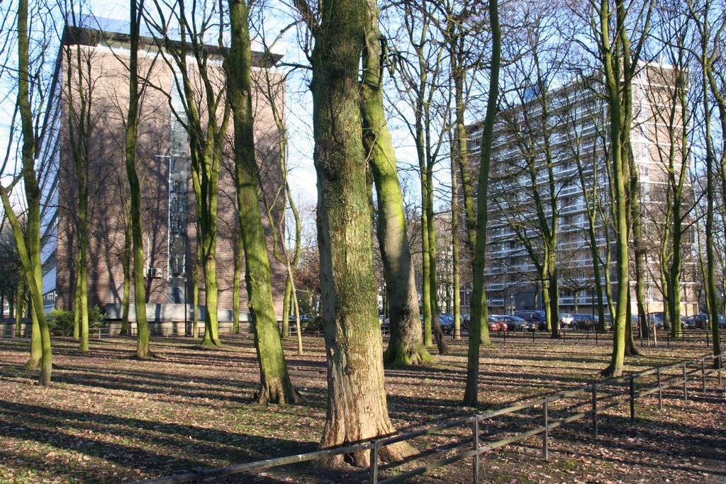 Park Welgelegen aan de Verdilaan; Utrecht by Carl030nl