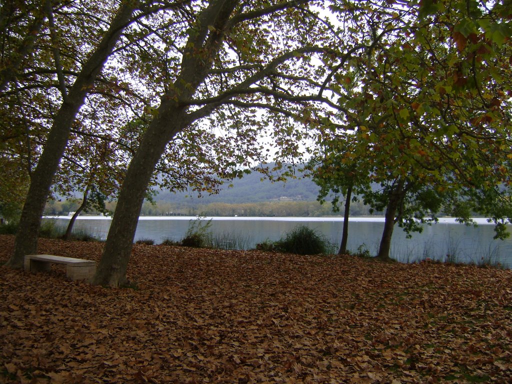 Estany de Banyoles, Otoño 08 by superstarkristal