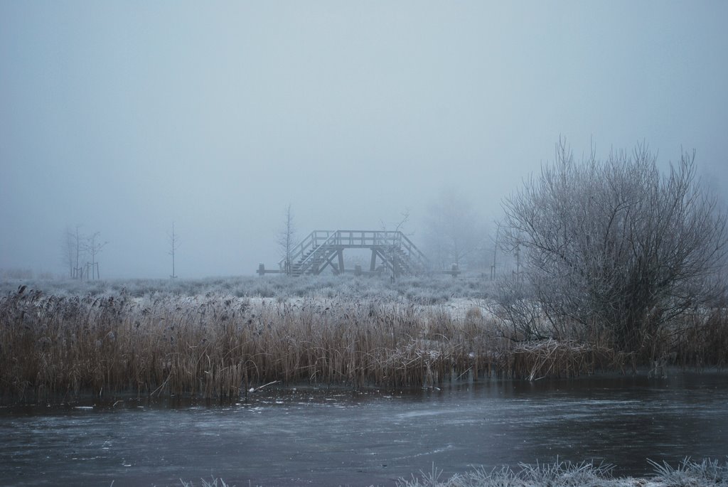 Wintertime by frans harteveld