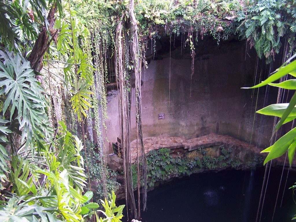 Ik Kil Cenote by Craig Brawn