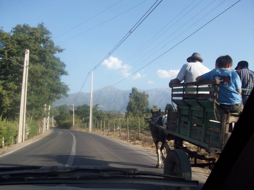 Carreta rumbo a Aculeo. Paine Santiago by Ignacio Paredes