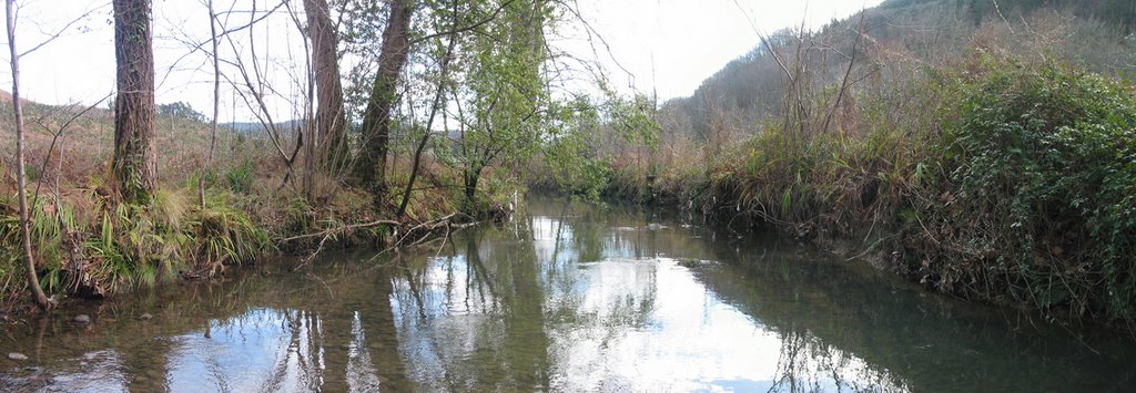 Río Golako, Loiola-Elejalde, Urdaibai by abanades