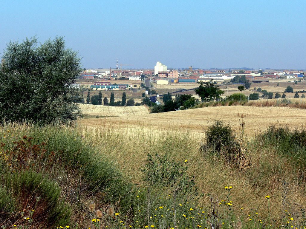 CAMINO DE SANTIAGO (2008). SAHAGÚN (León). Vista de Sahagún desde el Camino. by Carlos Sieiro del Nido