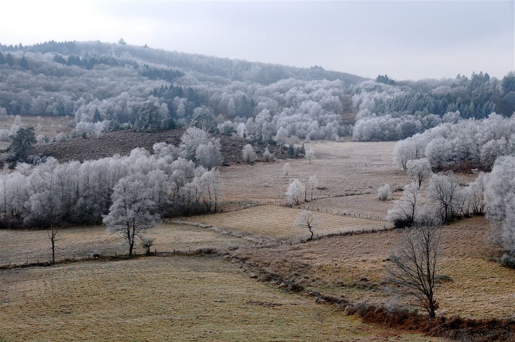 La tourbière des Dauges en hiver by Michel GIGUET