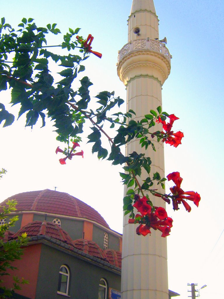 Akşehir, Konya, Turkey by ramazanbeyoglu