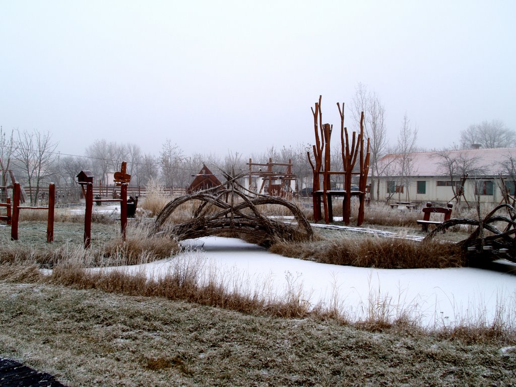 Madármentő (Hortobágy) by György Nehrer