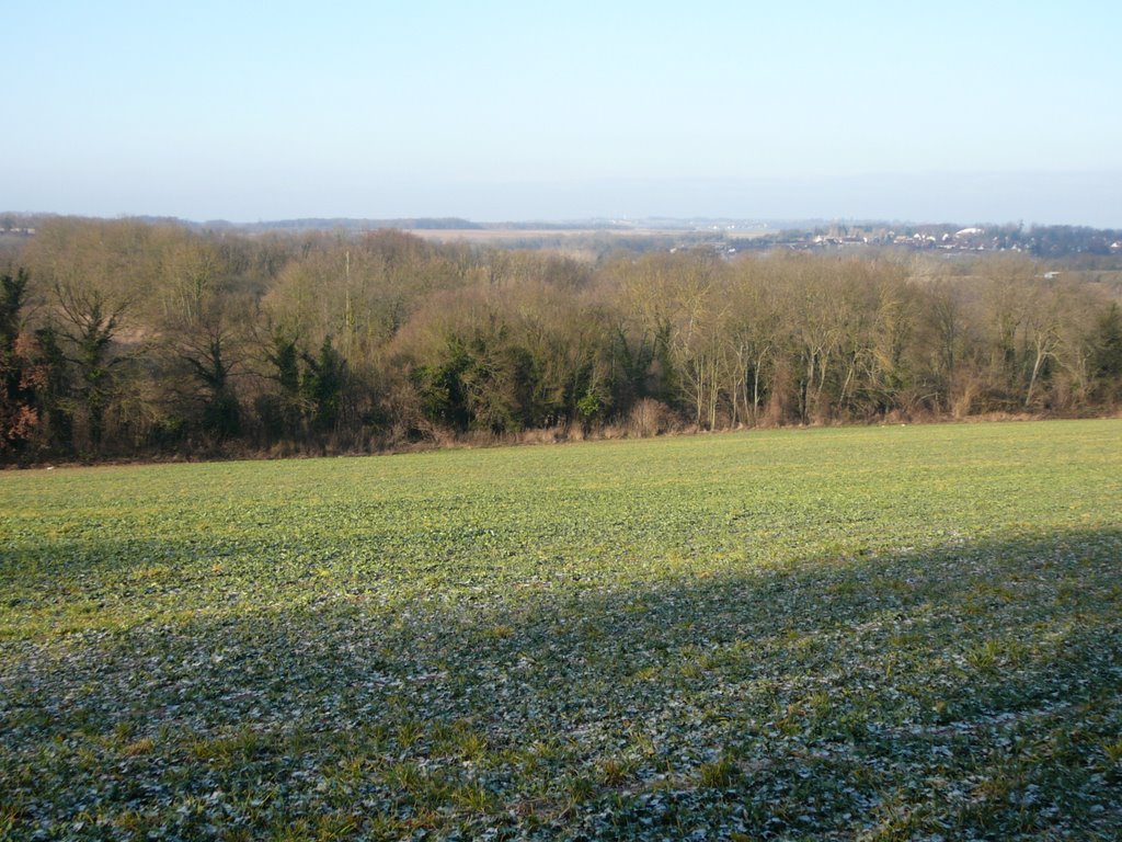 Paysage du Vexin vu d'Osny 02/01/2009 by Momox de Morteau