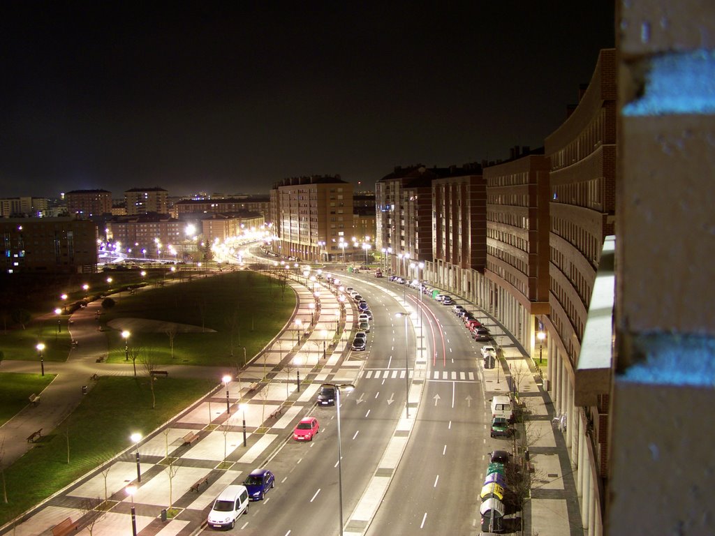 Calle Pamplona por la noche by mikelon